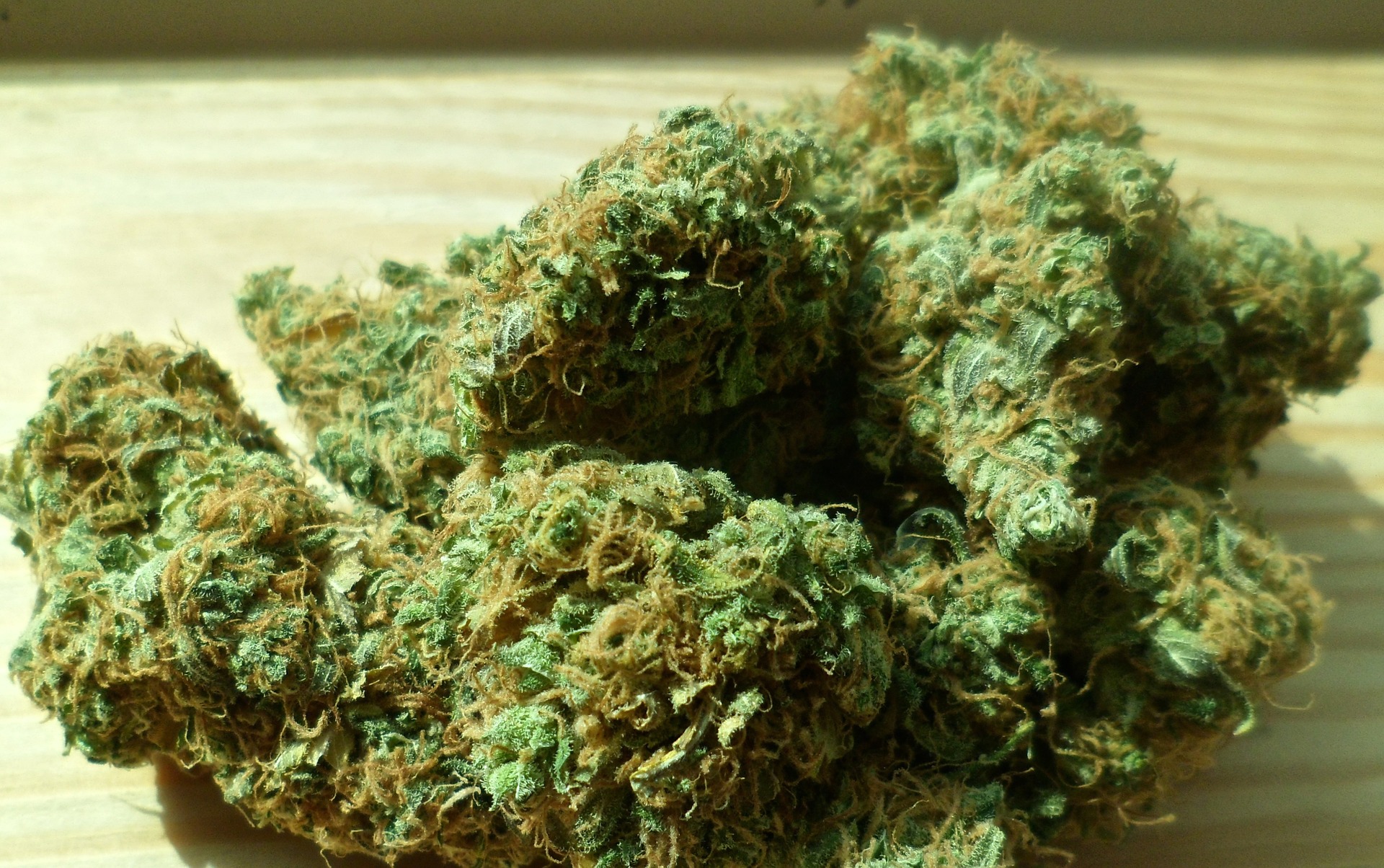 marijuana compunds